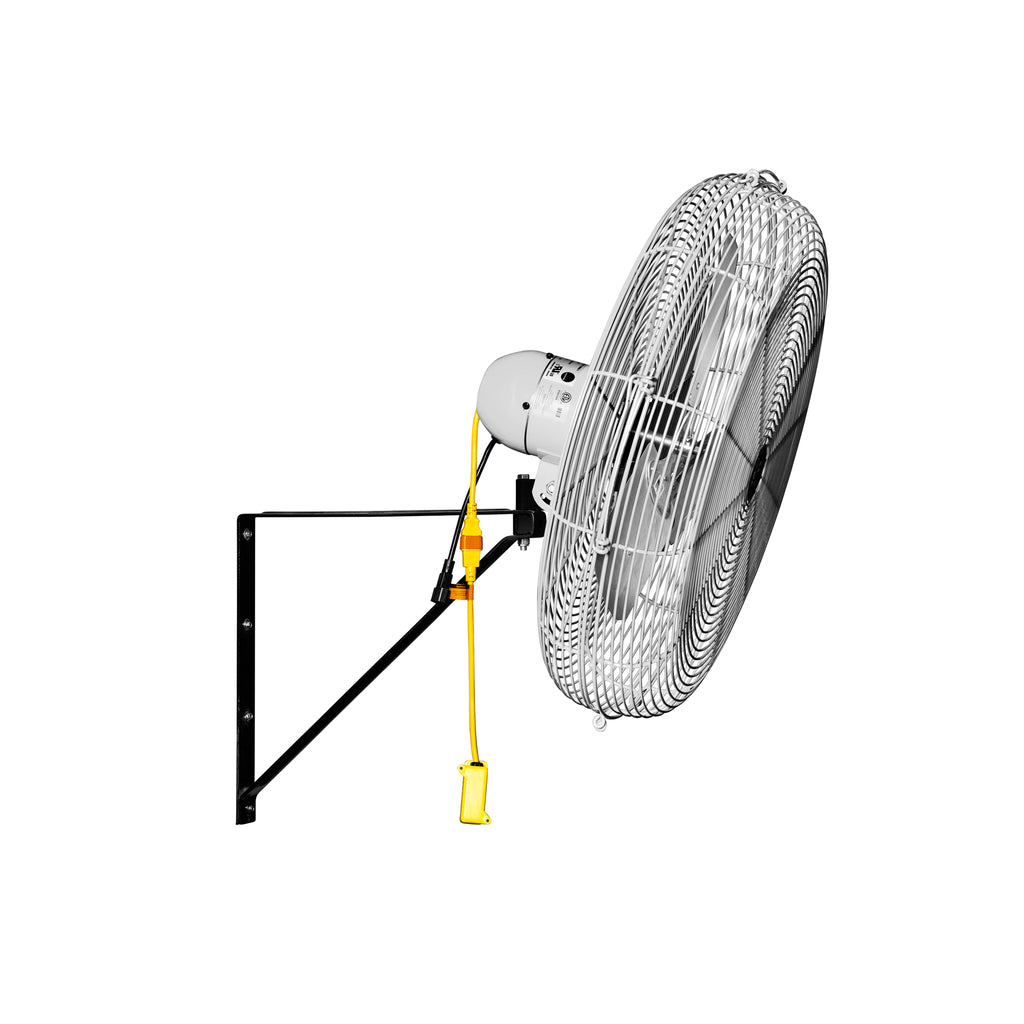 Jan Fan Wall/Ceiling Mount Complete Fan