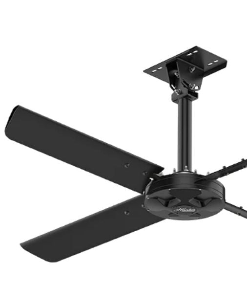 hvls ceiling fans for courthouses